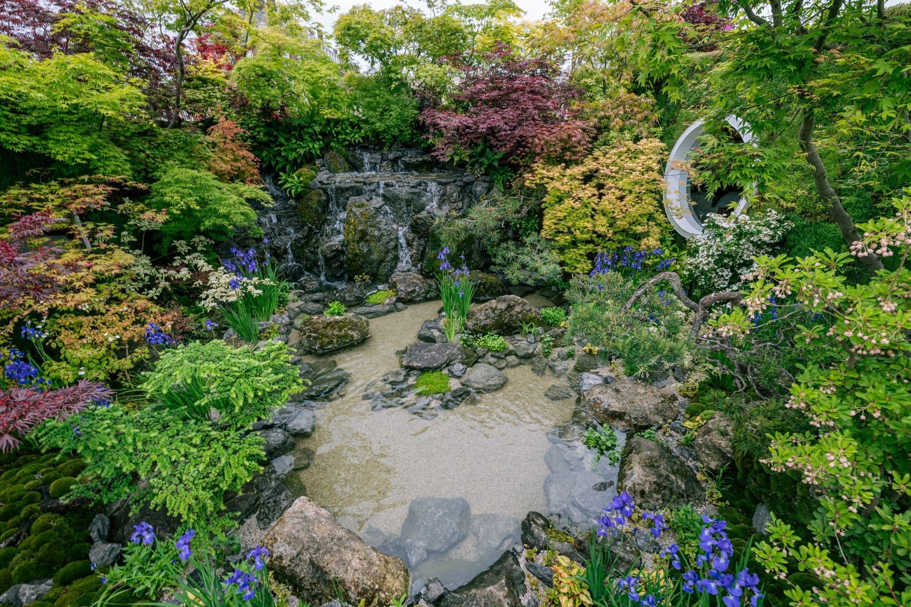 滝の流れ込む池を、紅葉と青い花が囲む