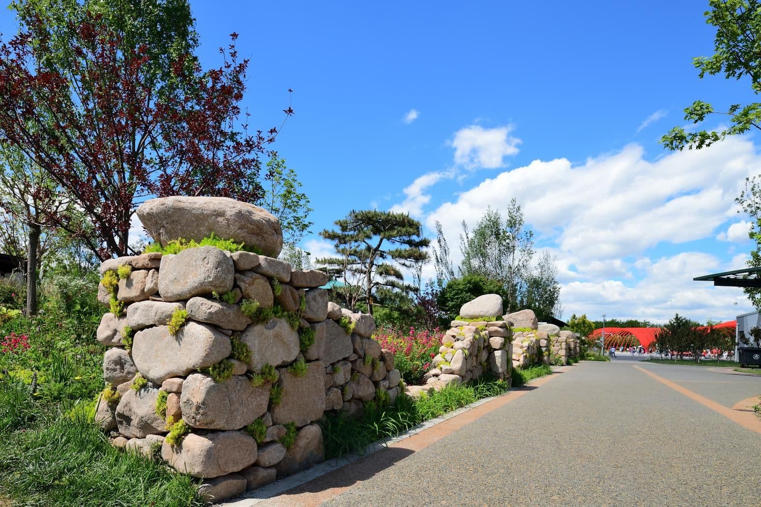 Muret de pierres planté de sédums