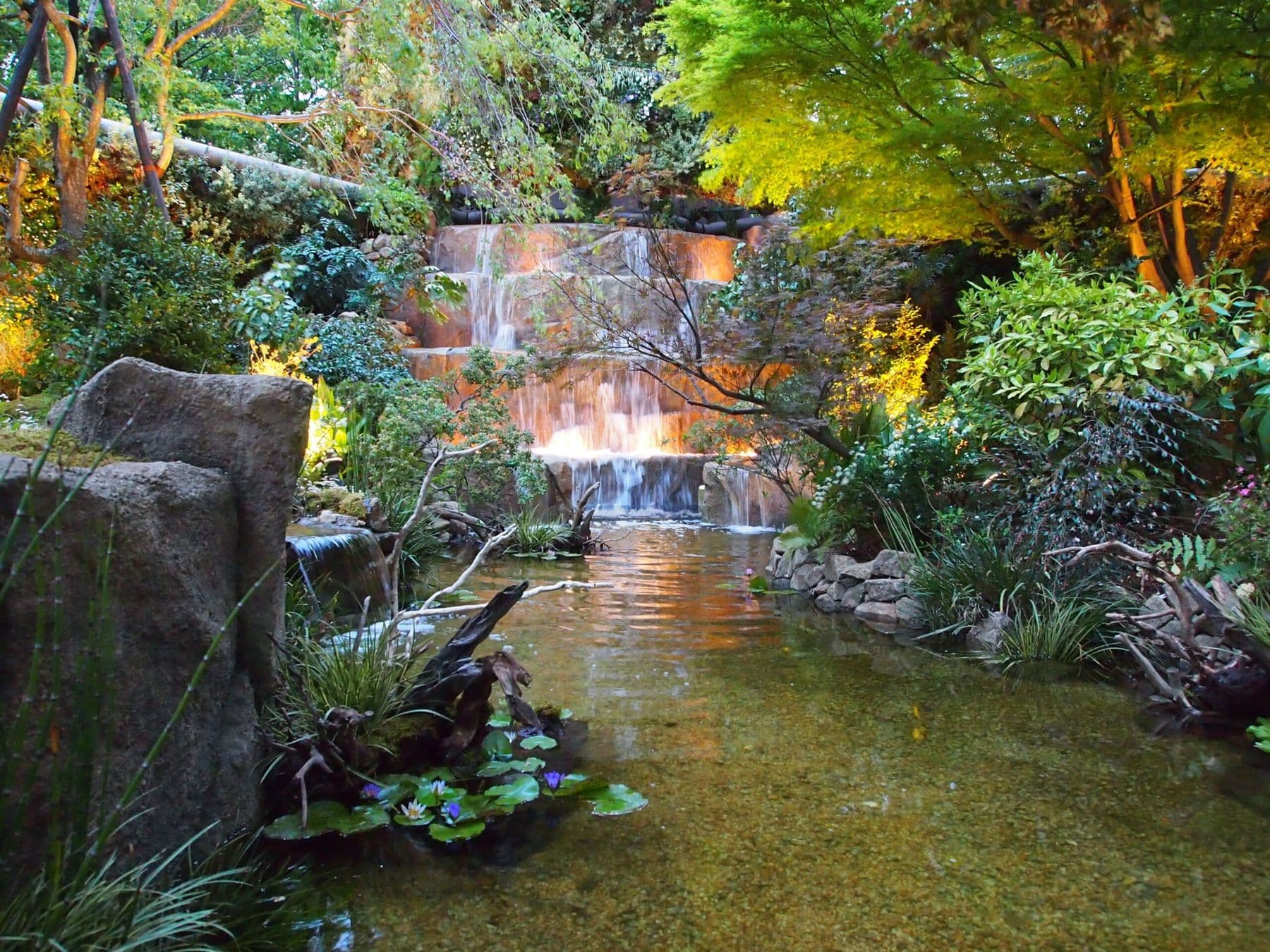 渓谷を思わせる滝と、水辺の植物