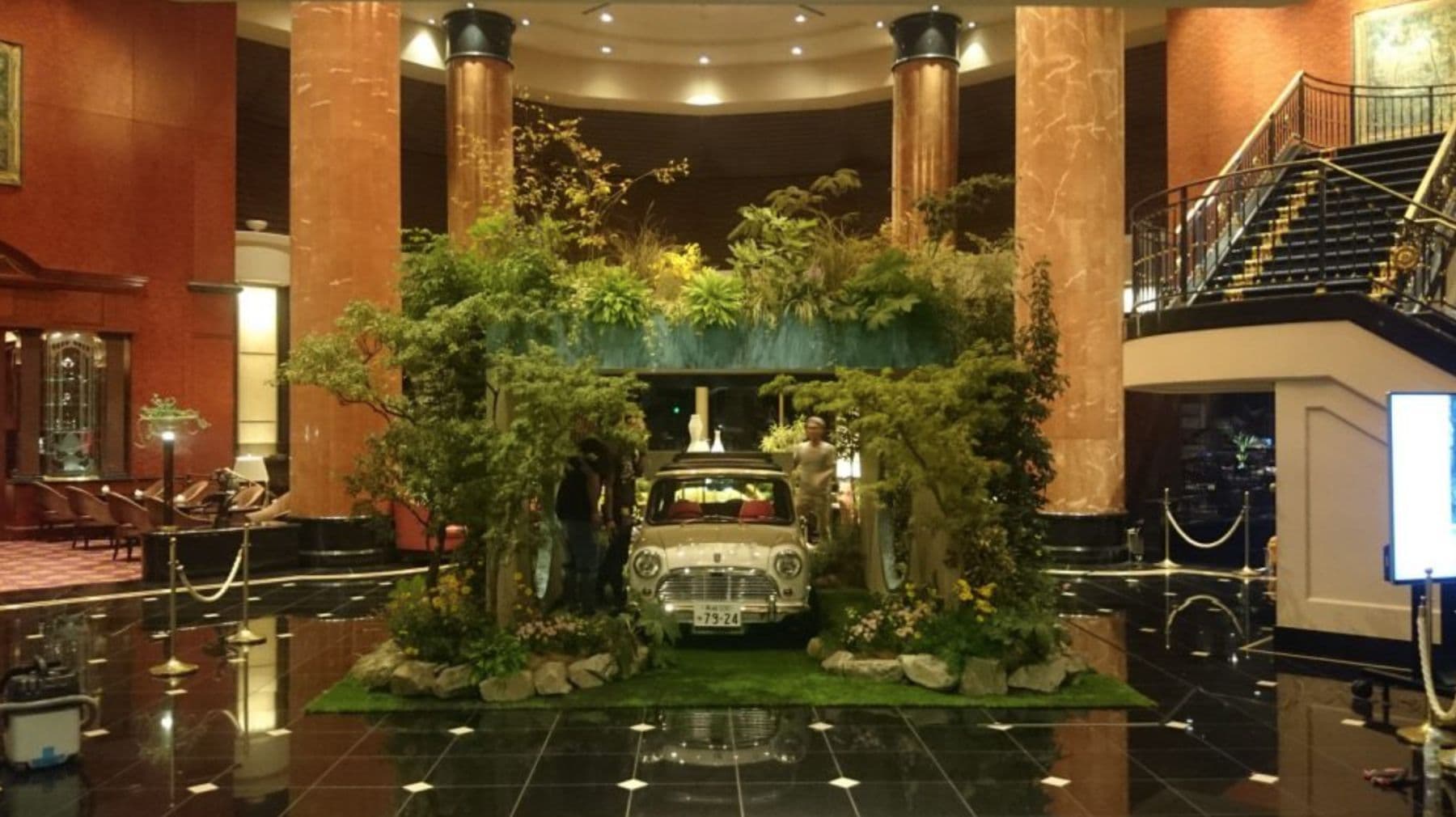 インドアガーデンに強い植物を選んだ植栽
