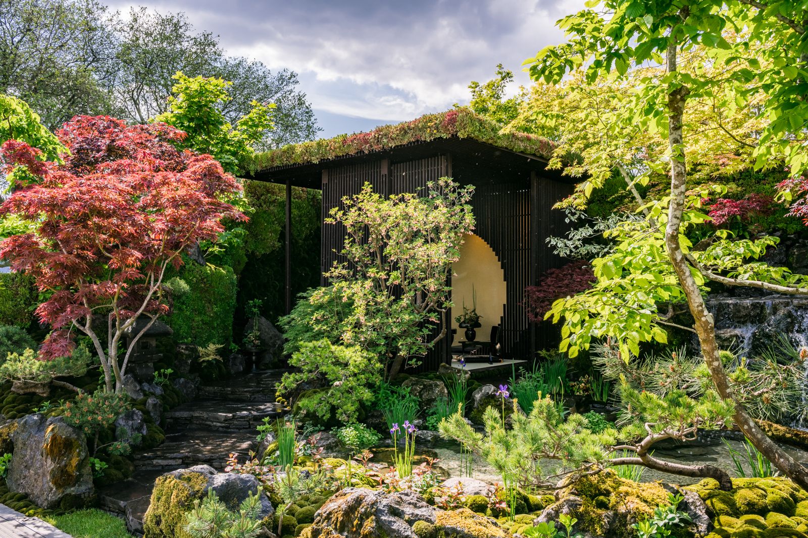 A detached annex beyond a garden of maples and moss