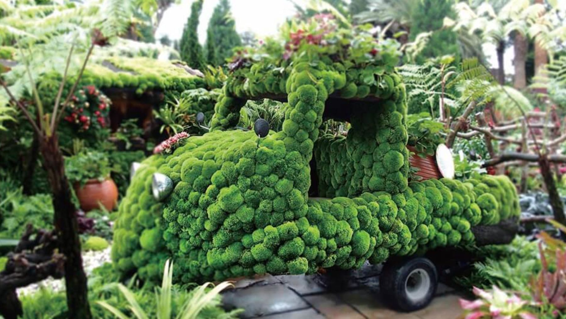 緑で覆った車と、シダの茂る庭